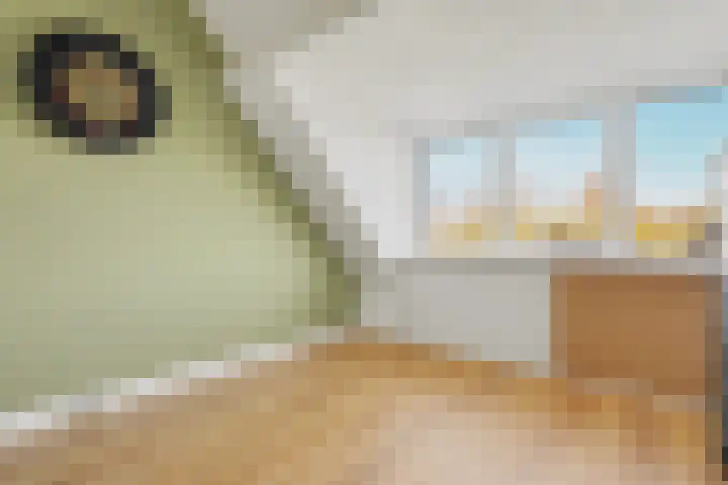 Herman Gorterlaan 9 Raamsdonksveer thumbnail 31