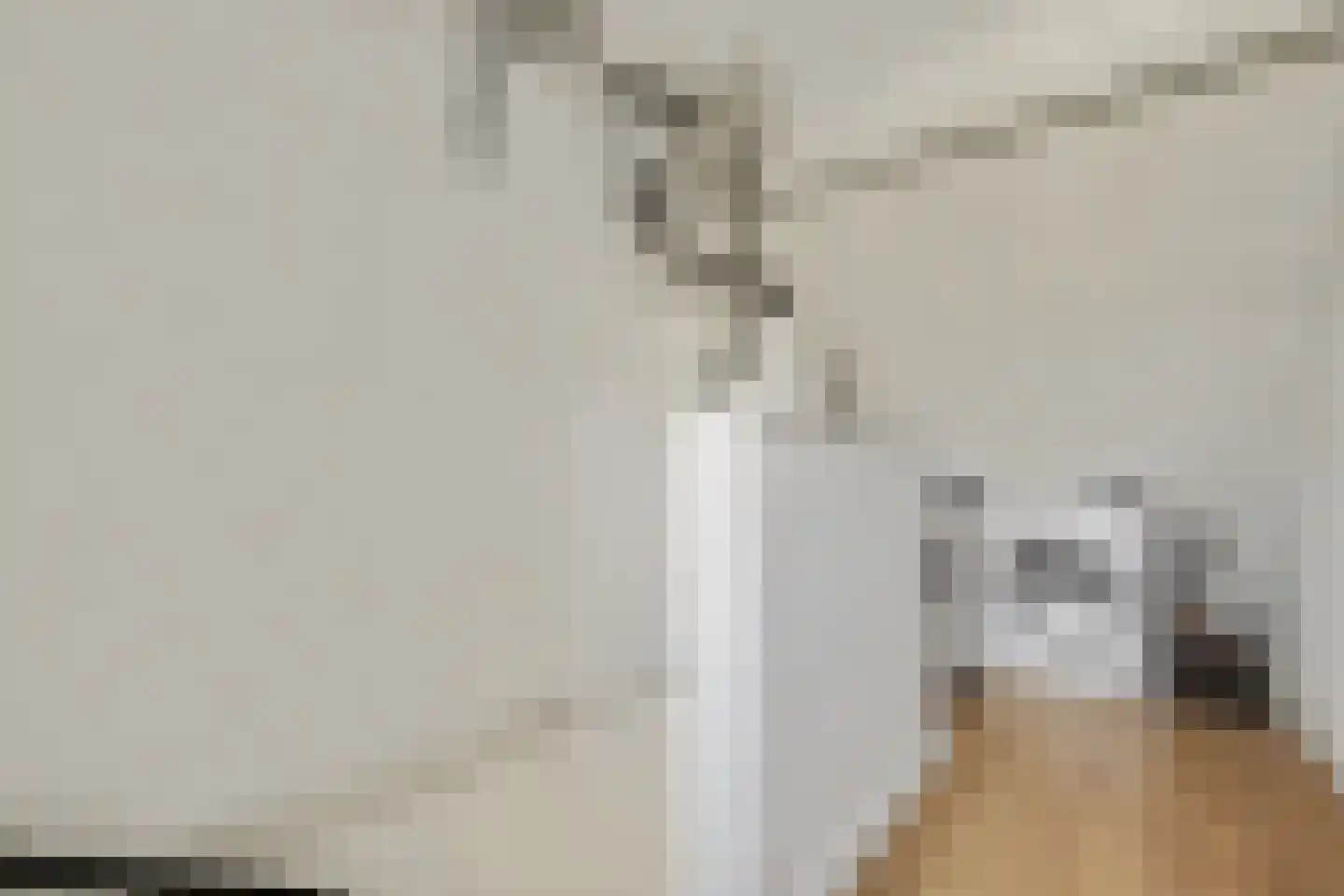 Herman Gorterlaan 9 Raamsdonksveer thumbnail 34