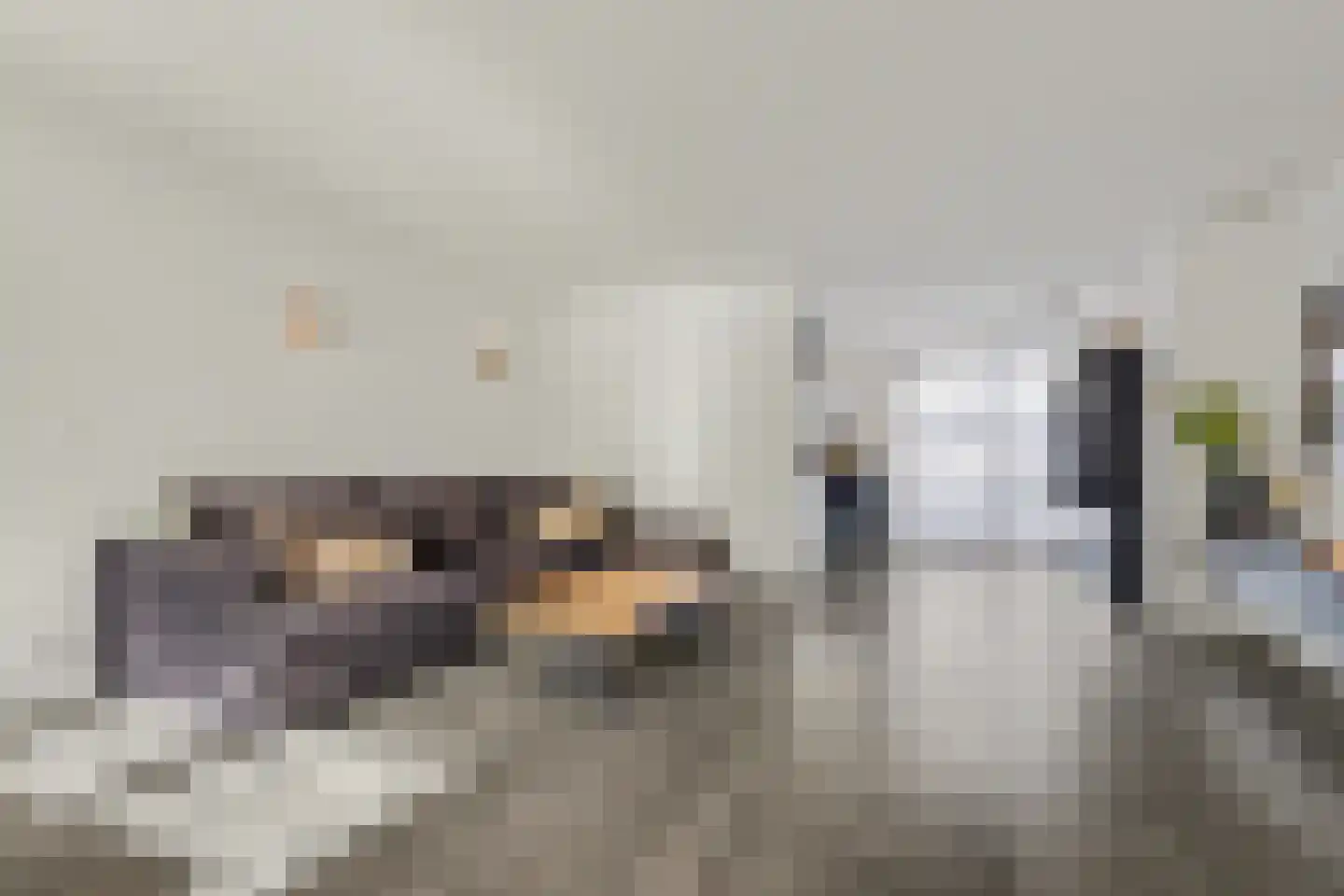 Herman Gorterlaan 9 Raamsdonksveer thumbnail 4