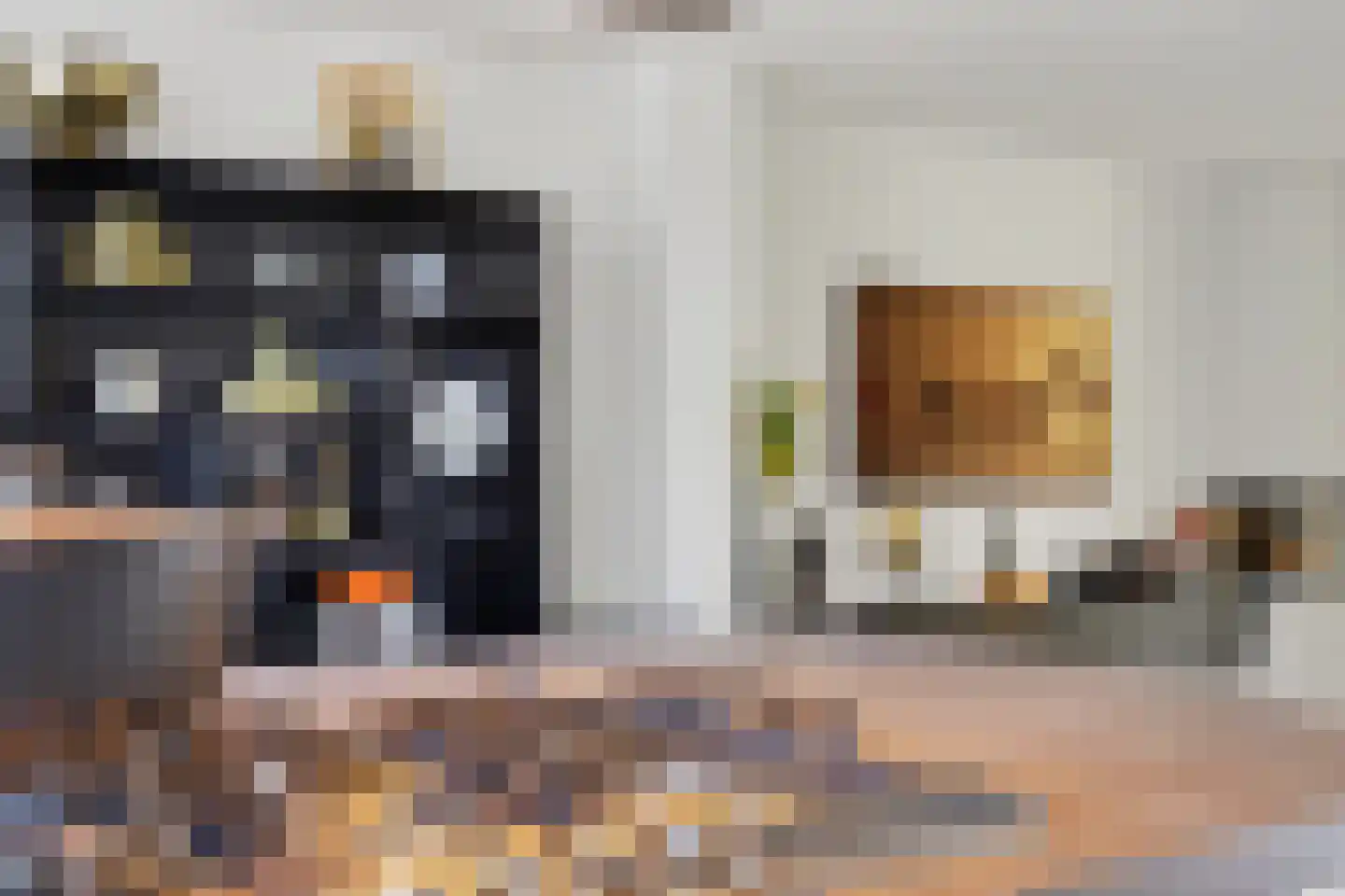 Herman Gorterlaan 9 Raamsdonksveer thumbnail 6