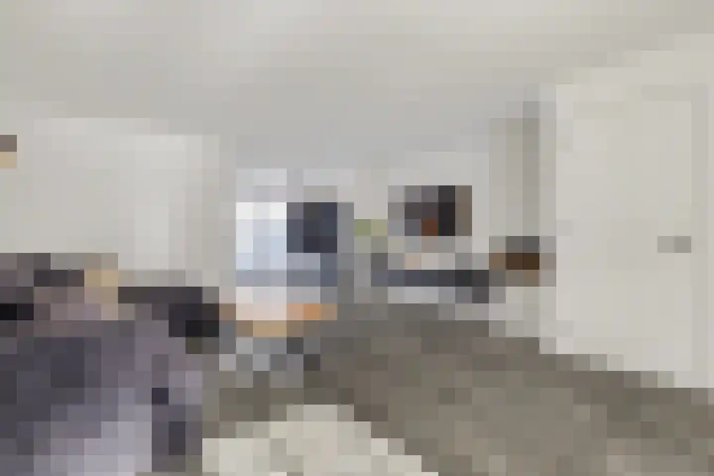 Herman Gorterlaan 9 Raamsdonksveer thumbnail 8