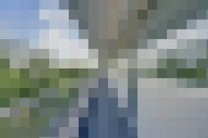 Herman Gorterplaats 145 Capelle aan den IJssel thumbnail 20