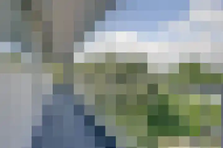 Herman Gorterplaats 145 Capelle aan den IJssel thumbnail 21
