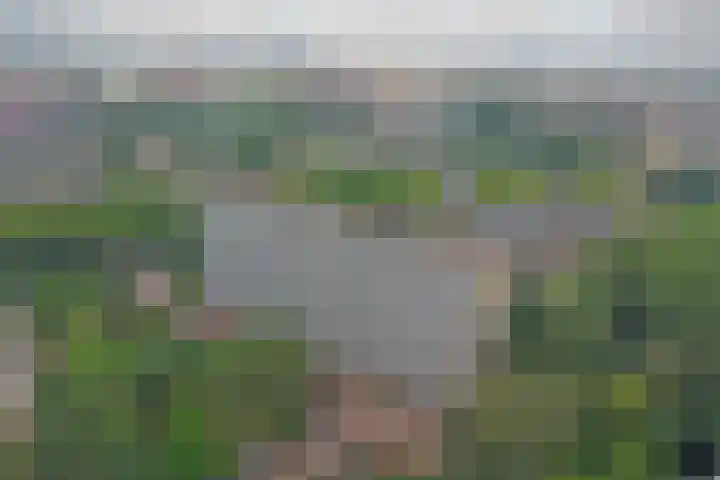 Herman Gorterplaats 145 Capelle aan den IJssel thumbnail 24
