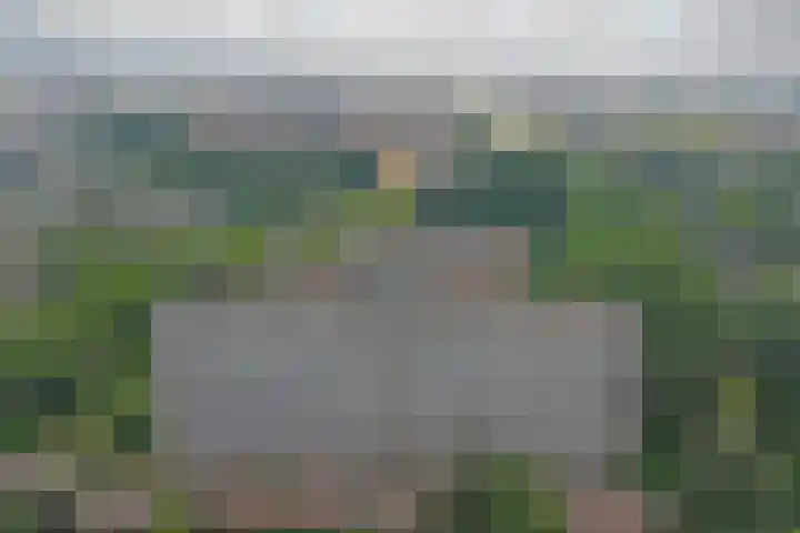 Herman Gorterplaats 145 Capelle aan den IJssel thumbnail 25