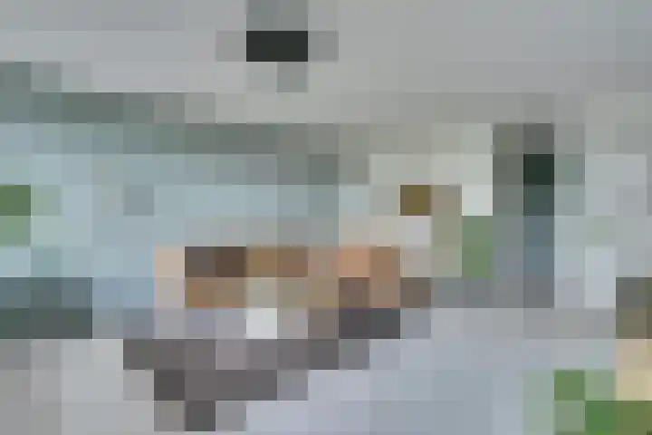 Herman Gorterplaats 145 Capelle aan den IJssel thumbnail 5