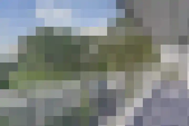 Herman Gorterplaats 145 Capelle aan den IJssel thumbnail 7