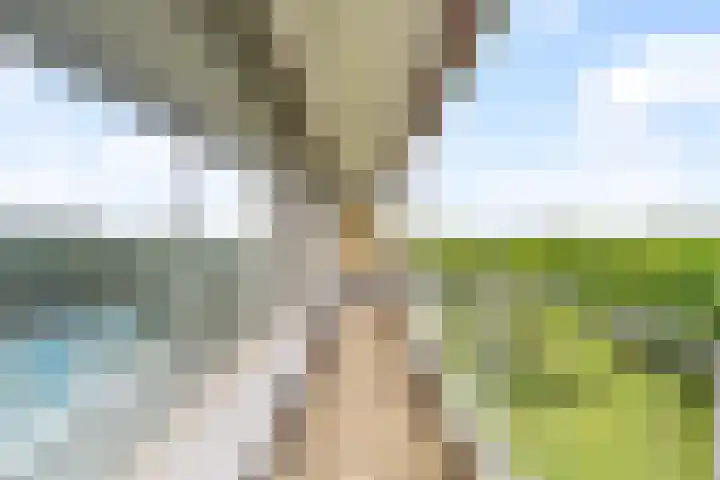 Herman Gorterplaats 163 Capelle aan den IJssel thumbnail 20
