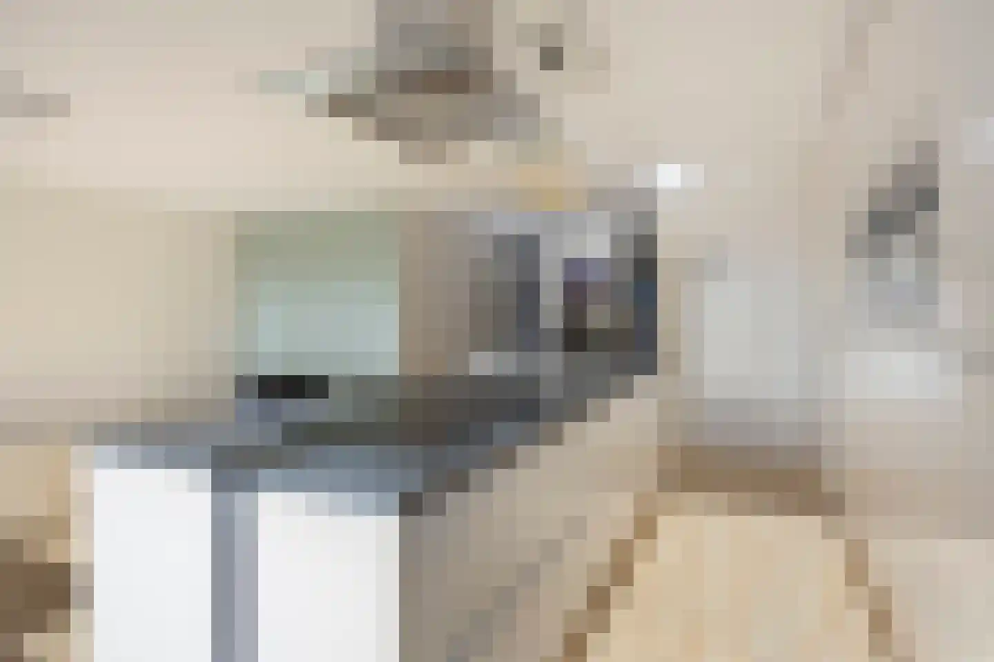 Herman Gorterplaats 17 Capelle aan den IJssel thumbnail 13