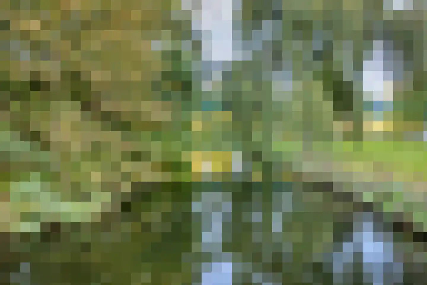Herman Gorterplaats 17 Capelle aan den IJssel thumbnail 32