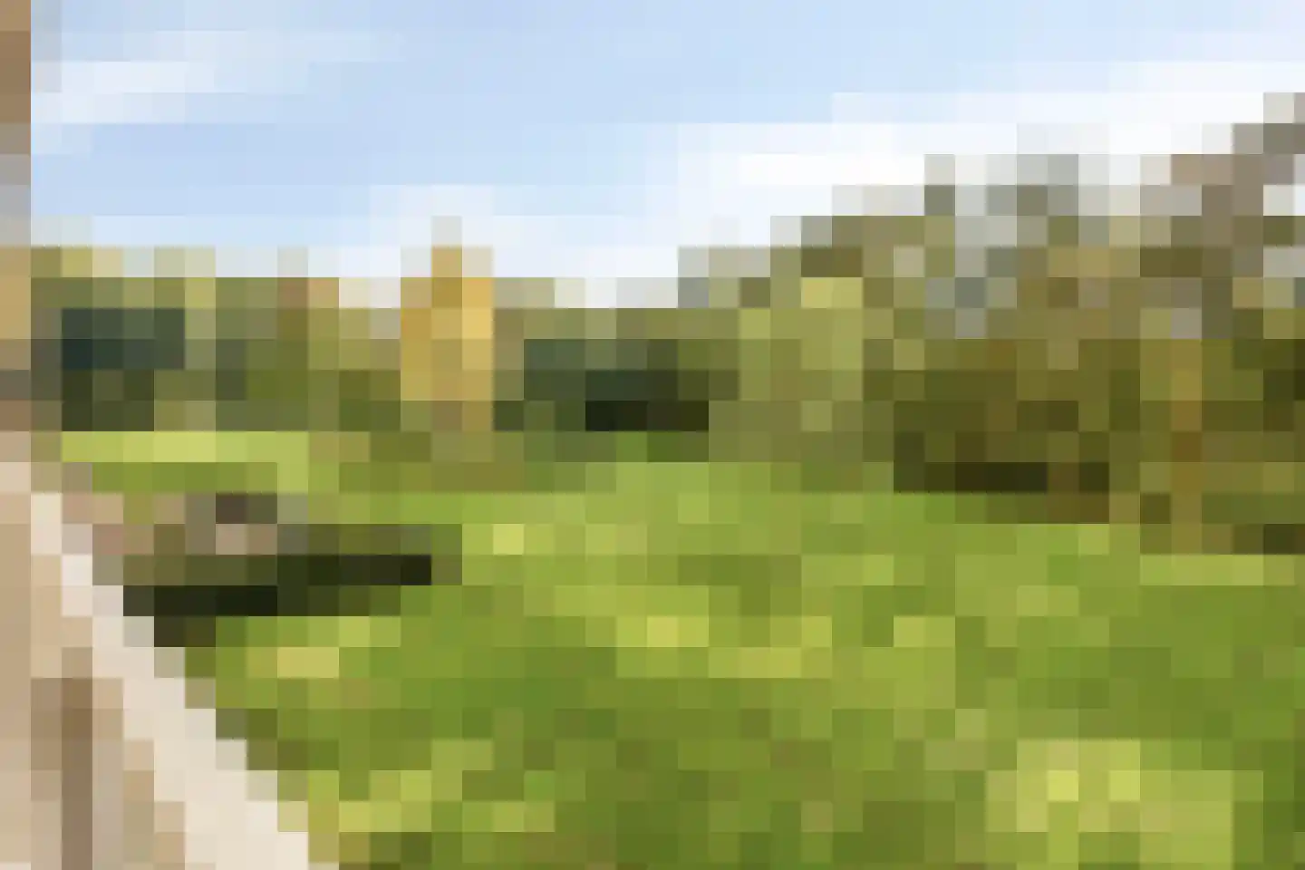 Herman Gorterplaats 17 Capelle aan den IJssel thumbnail 5