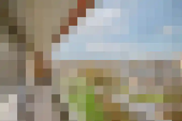 Herman Gorterplaats 193 Capelle aan den IJssel thumbnail 18