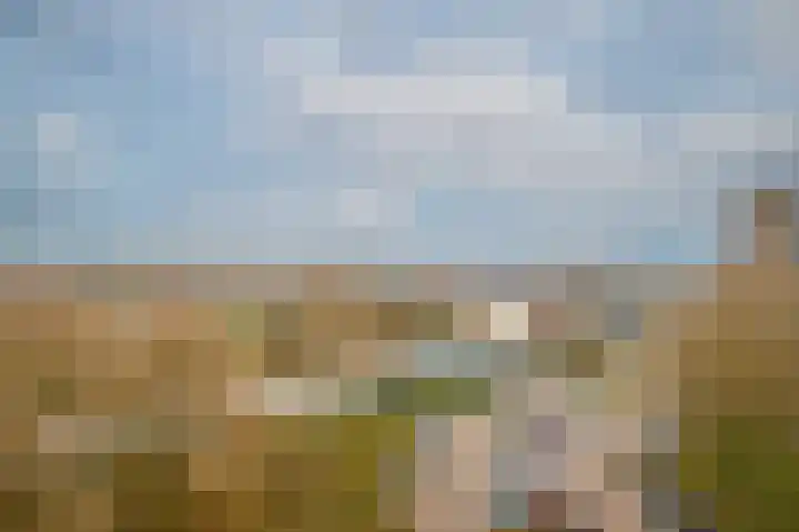 Herman Gorterplaats 193 Capelle aan den IJssel thumbnail 20
