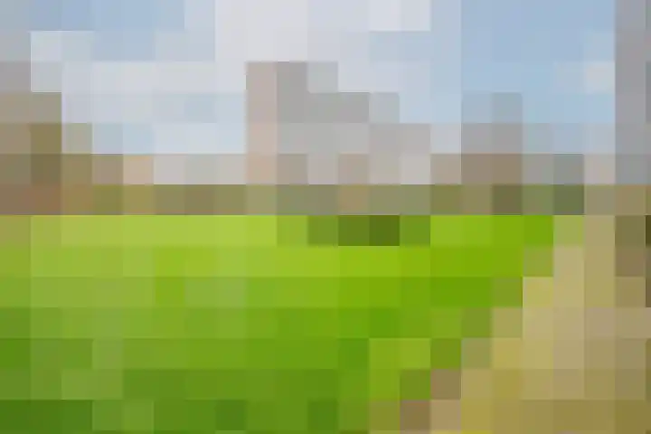 Herman Gorterplaats 193 Capelle aan den IJssel thumbnail 21
