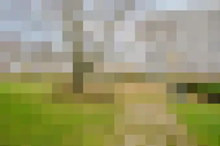 Herman Gorterplaats 193 Capelle aan den IJssel thumbnail 22