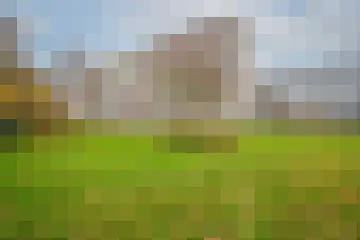Herman Gorterplaats 193 Capelle aan den IJssel thumbnail 23