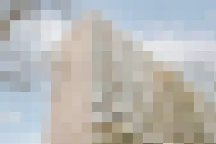 Herman Gorterplaats 193 Capelle aan den IJssel thumbnail 26