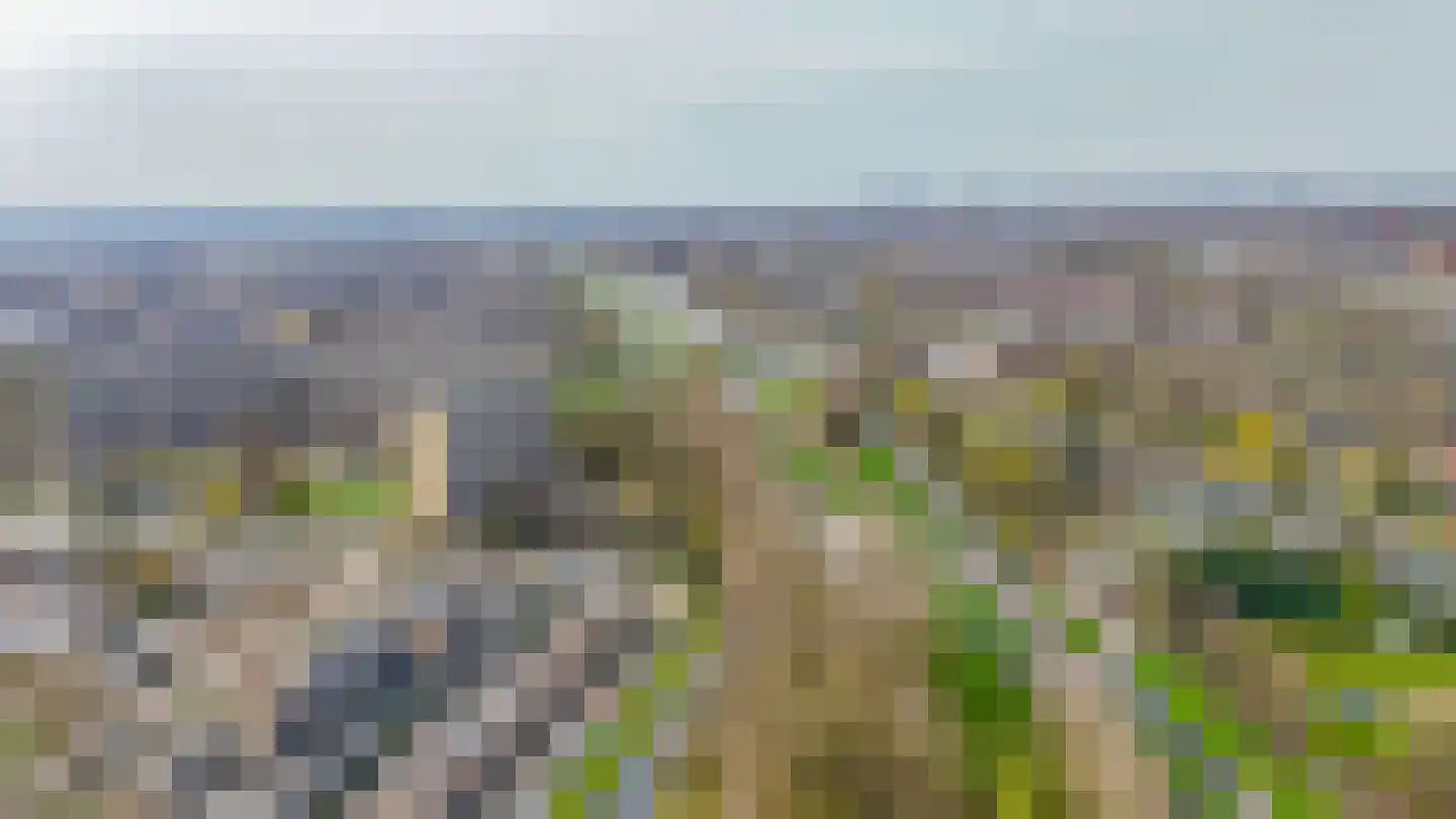 Herman Gorterplaats 247 Capelle aan den IJssel thumbnail 37