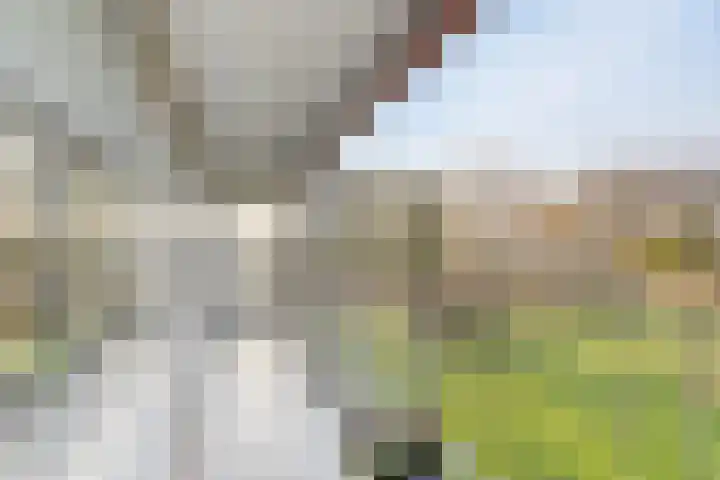 Herman Gorterplaats 27 Capelle aan den IJssel thumbnail 24