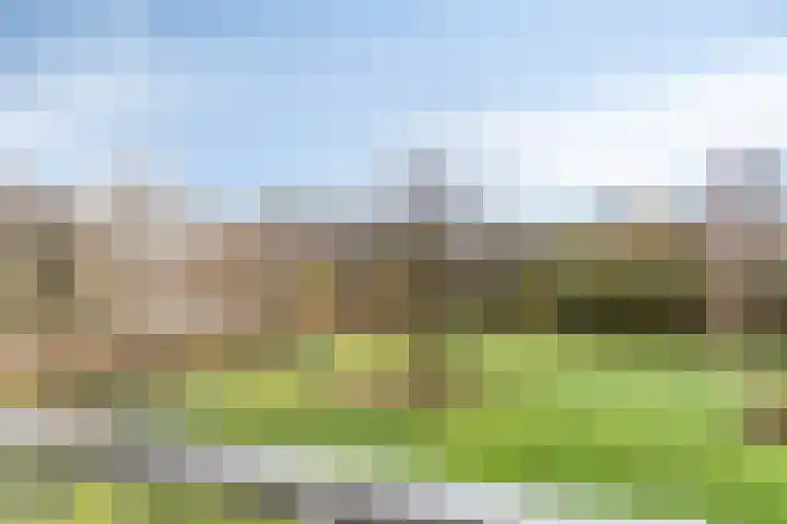 Herman Gorterplaats 27 Capelle aan den IJssel thumbnail 25
