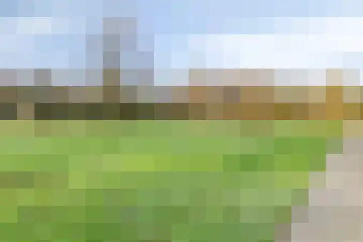 Herman Gorterplaats 27 Capelle aan den IJssel thumbnail 28