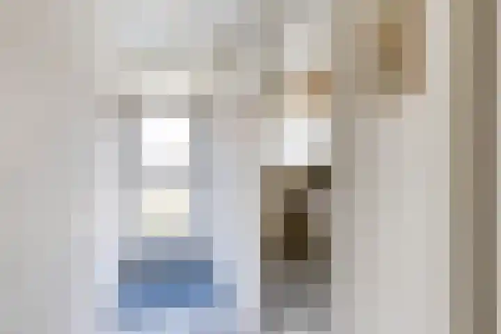 Herman Gorterplaats 27 Capelle aan den IJssel thumbnail 4