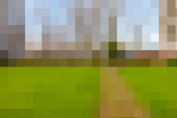Herman Gorterplaats 57 Capelle aan den IJssel foto 3