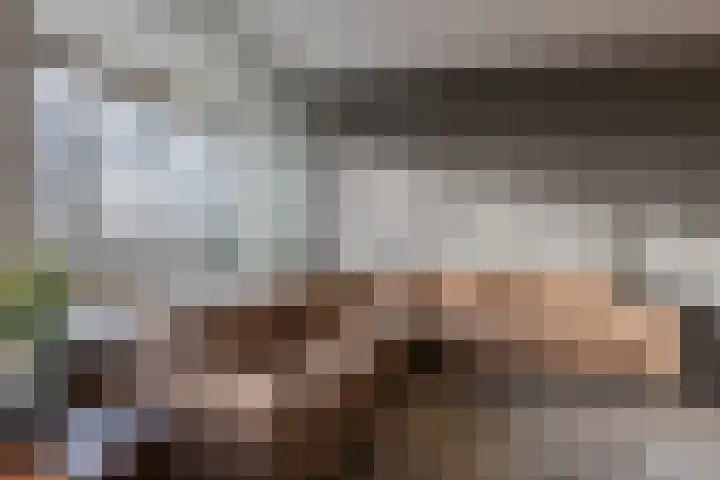 Herman Gorterplaats 95 Capelle aan den IJssel thumbnail 16