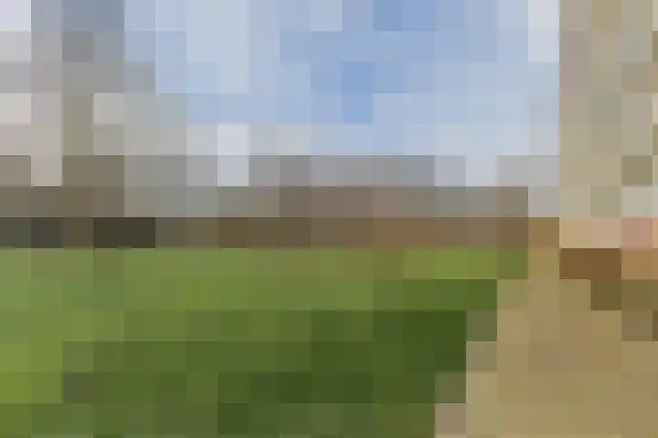 Herman Gorterplaats 95 Capelle aan den IJssel thumbnail 35
