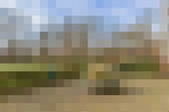 Herman Gorterplaats 95 Capelle aan den IJssel thumbnail 36