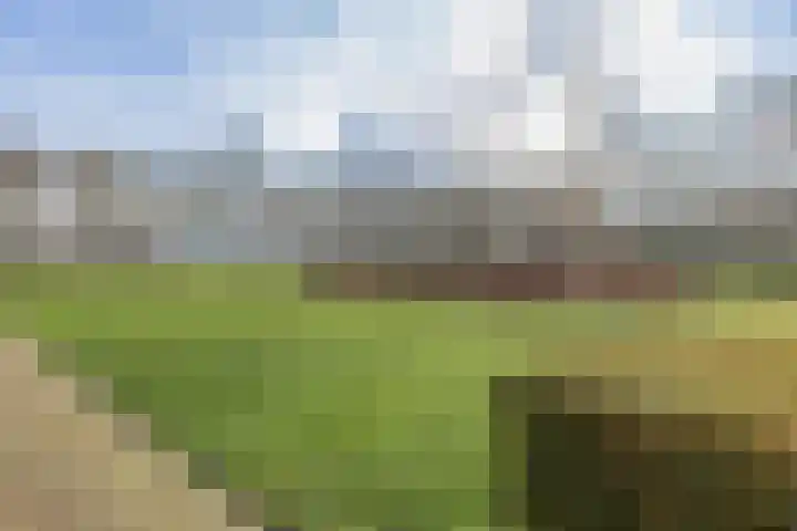 Herman Gorterplaats 95 Capelle aan den IJssel thumbnail 37