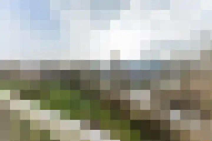 Herman Gorterplaats 95 Capelle aan den IJssel thumbnail 5
