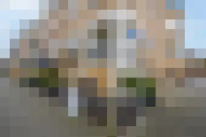Herman Gortersingel 9 Voorschoten thumbnail 10