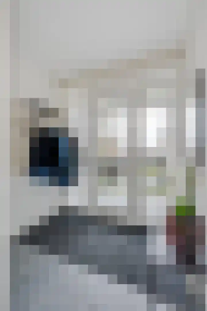 Herman Gortersingel 9 Voorschoten thumbnail 13