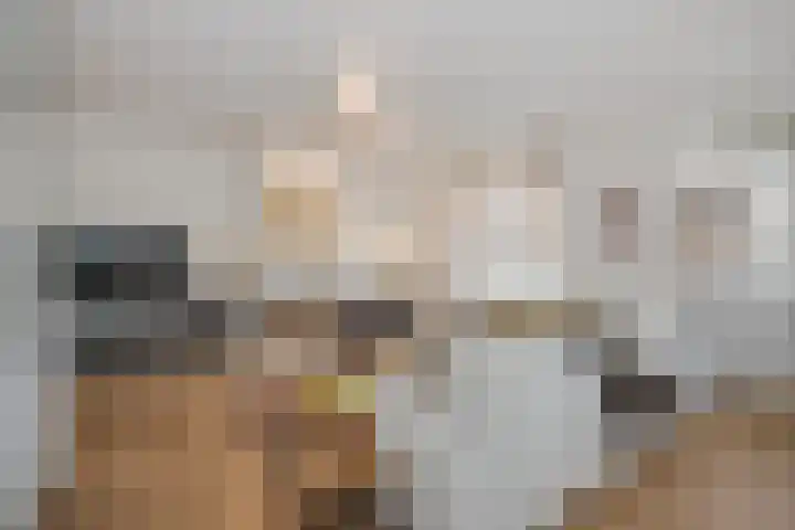Herman Gortersingel 9 Voorschoten thumbnail 16