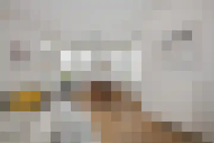 Herman Gortersingel 9 Voorschoten thumbnail 21