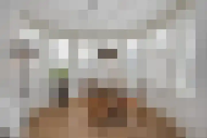 Herman Gortersingel 9 Voorschoten thumbnail 22