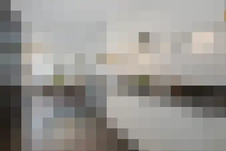 Herman Gortersingel 9 Voorschoten thumbnail 23