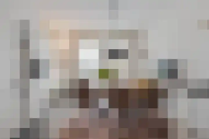 Herman Gortersingel 9 Voorschoten thumbnail 25