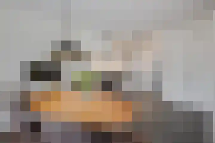 Herman Gortersingel 9 Voorschoten thumbnail 26