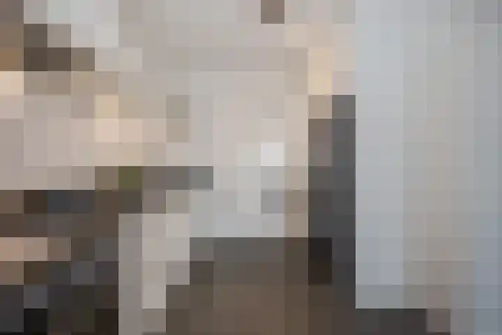 Herman Gortersingel 9 Voorschoten thumbnail 30