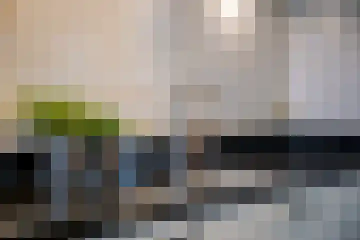 Herman Gortersingel 9 Voorschoten thumbnail 31