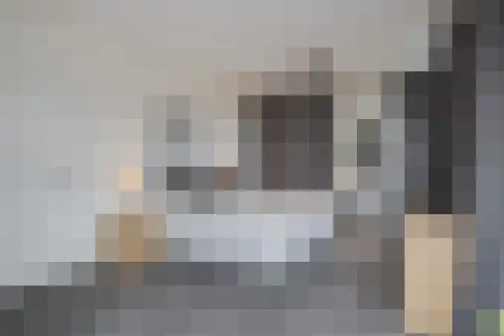 Herman Gortersingel 9 Voorschoten thumbnail 40