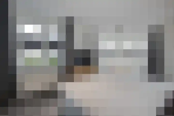 Herman Gortersingel 9 Voorschoten thumbnail 41