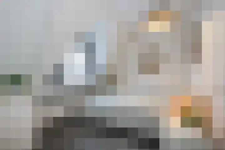 Herman Gortersingel 9 Voorschoten thumbnail 47