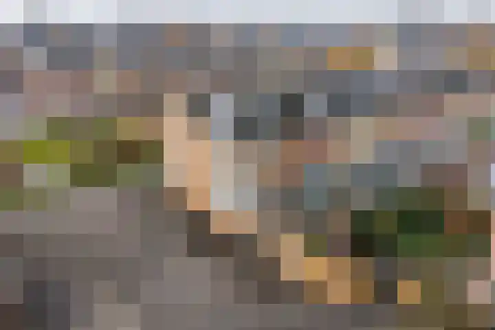 Herman Gortersingel 9 Voorschoten thumbnail 5