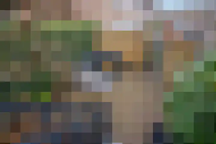 Herman Gortersingel 9 Voorschoten thumbnail 64