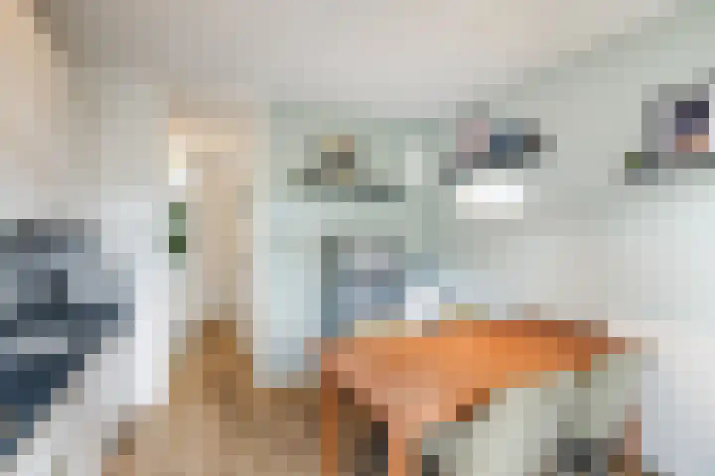 Herman Gorterstraat 10 B Rotterdam thumbnail 10