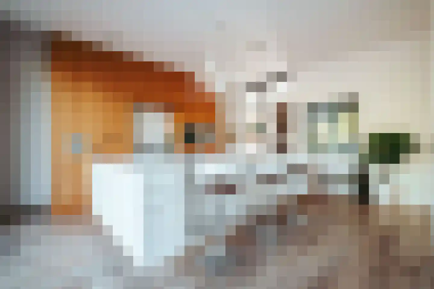Herman Gorterstraat 24 Amsterdam thumbnail 10