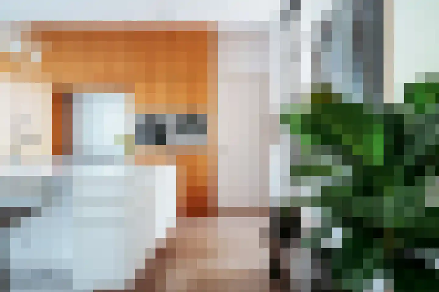 Herman Gorterstraat 24 Amsterdam thumbnail 16